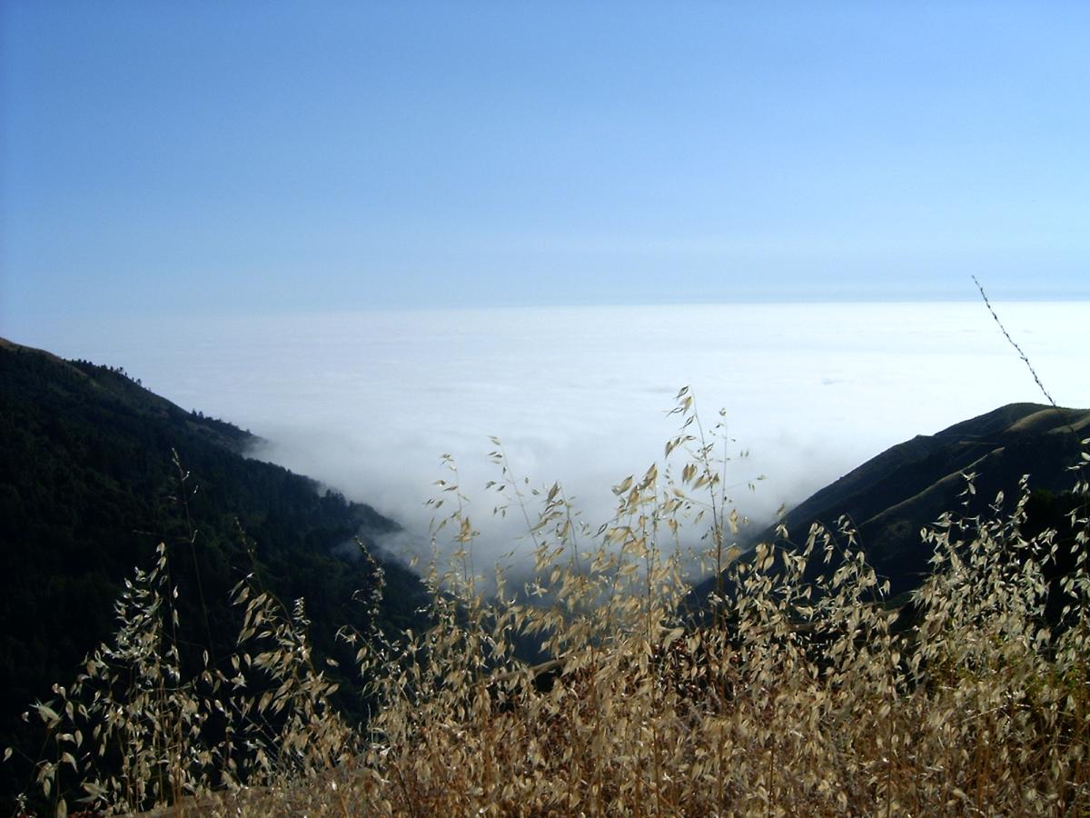 img322.jpg