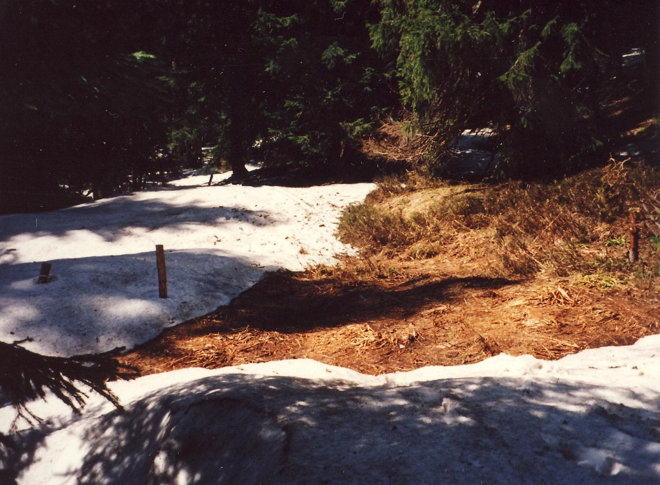 Eustaska