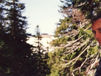 1993-1995