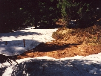 Eustaska