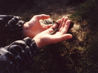 PetrEustaska
