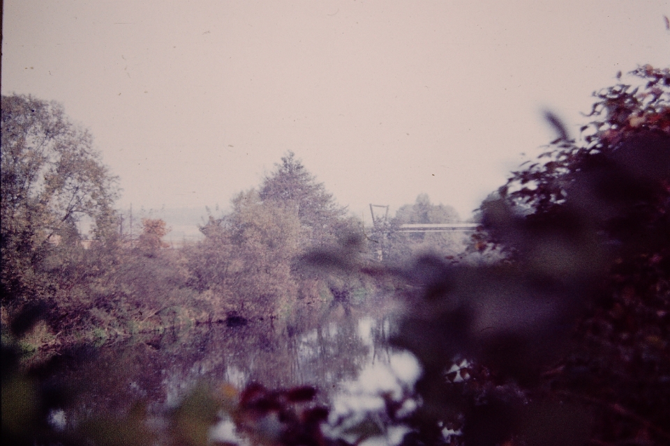 Transparency-(17)