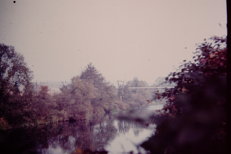 Transparency-(18)