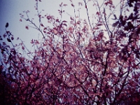 Transparency-(1)