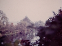 Transparency-(17)