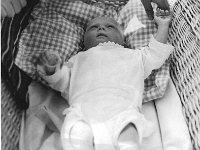 scan0005