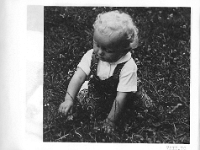 scan0015