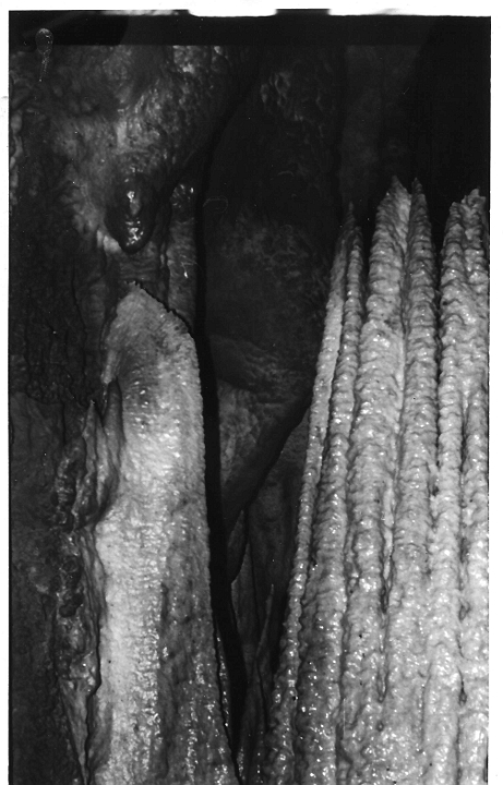 scan0006