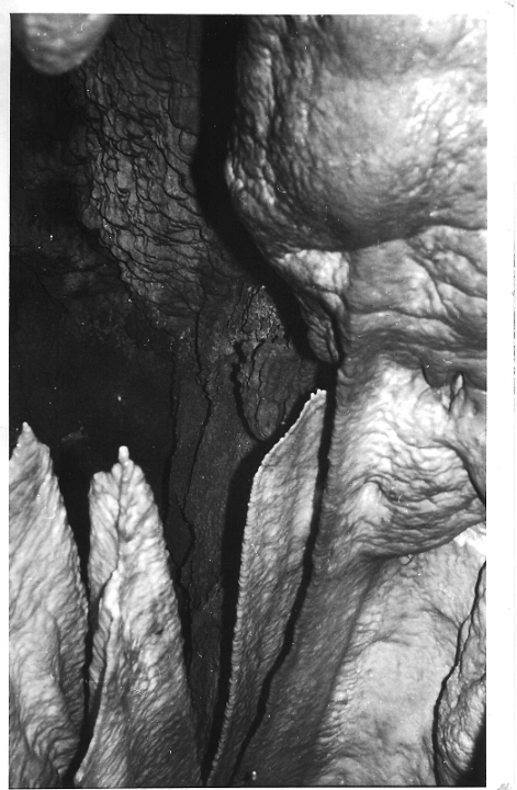 scan0020
