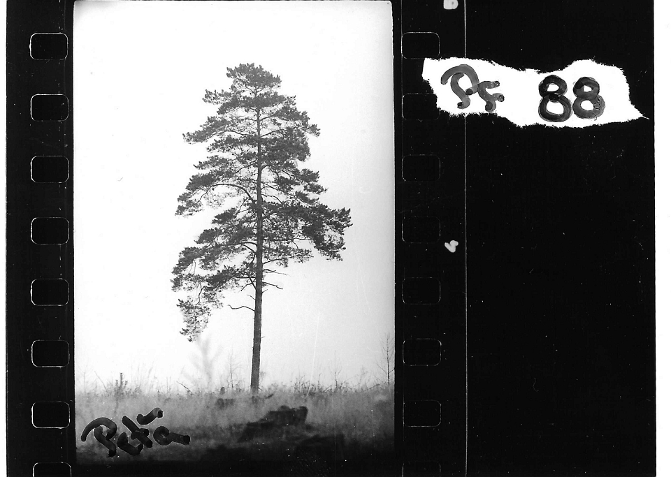 scan0032