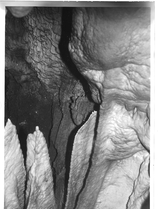 scan0098