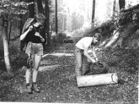Pavla-Jarek