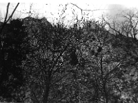 scan0027