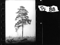 scan0032