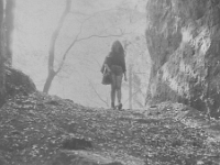 scan0061