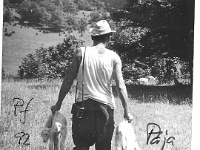 scan0085