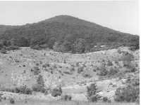 scan0096