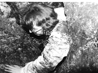 scan0107