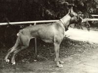 0-Aida85