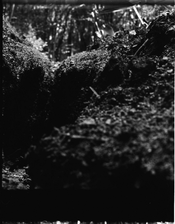 Canon9900-0001 0016
