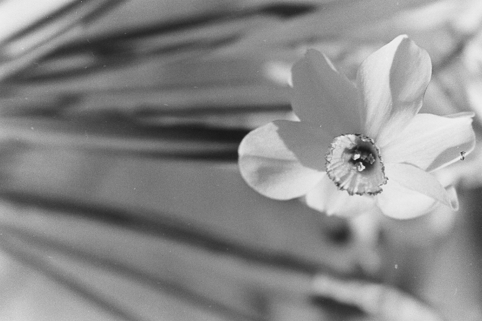 PICT0175