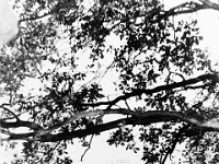 PICT0067