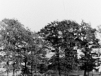 PICT0069