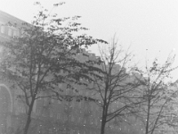 PICT0184
