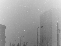 PICT0186