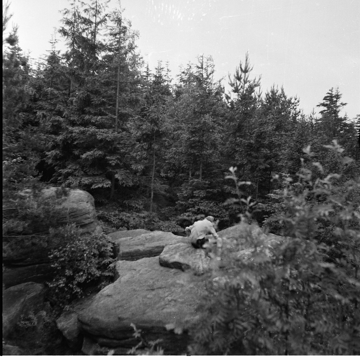 6X6-000 0153