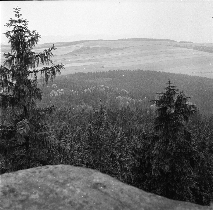 6X6-000 0162