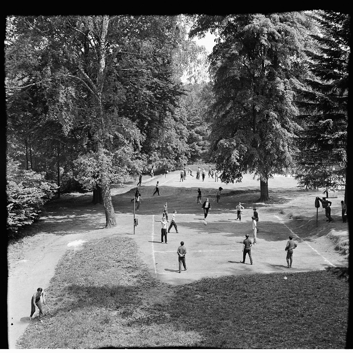 6X6-000 0215