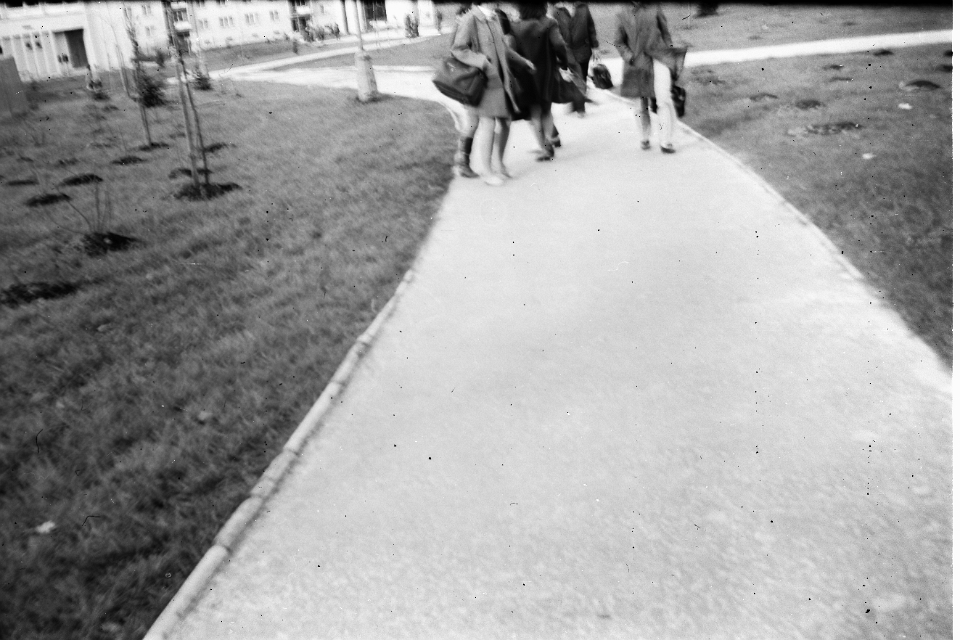 6X9-000 0000