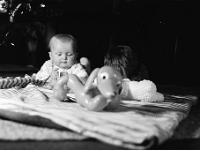 645-000 0001  Vánove 1969, Pavla pod stromečkem