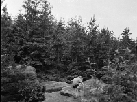 6X6-000 0153