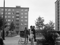 6X6-000 0178
