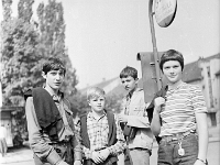 6X6-000 0186