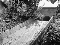 6X6-000 0262