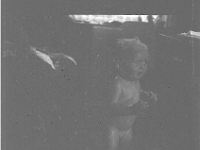 6X6-000 0282