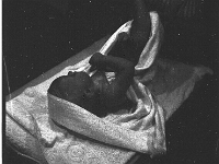 6X6-000 0291