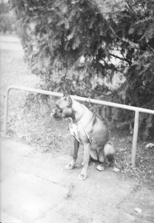 1985-Ajda0001